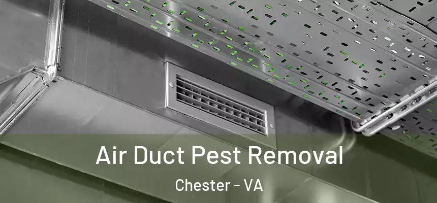 Air Duct Pest Removal Chester - VA