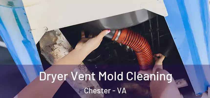 Dryer Vent Mold Cleaning Chester - VA