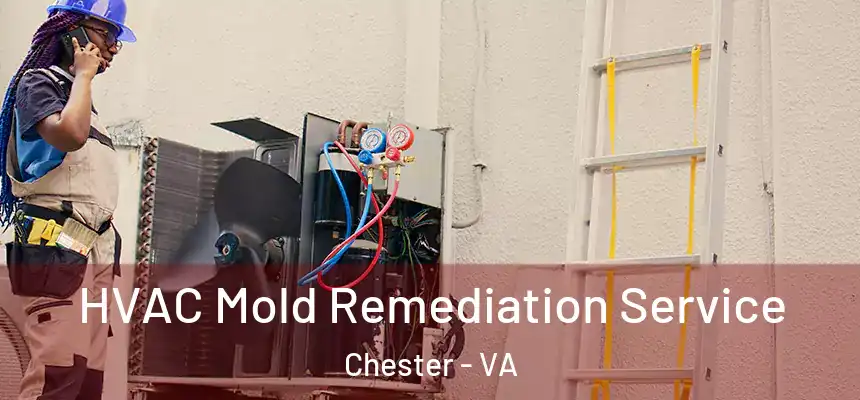 HVAC Mold Remediation Service Chester - VA