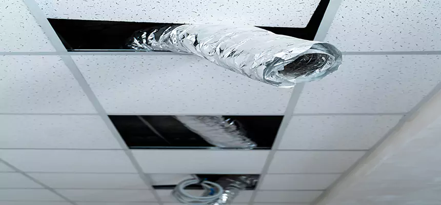 Our Air Duct Pet Hair Removal Services in Chester, VA