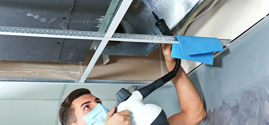 Our Air Duct Rodent Removal Services in Chester, VA