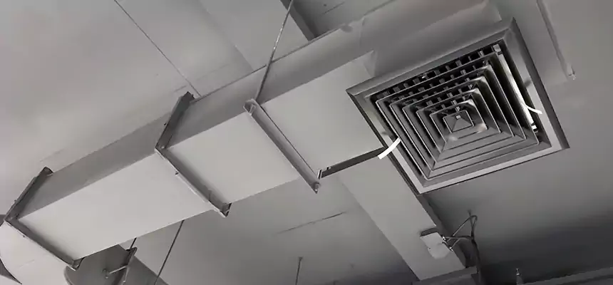 Restorative Allergy Relief Vent Cleaning – Coil, Blower & Housing Detail in Chester