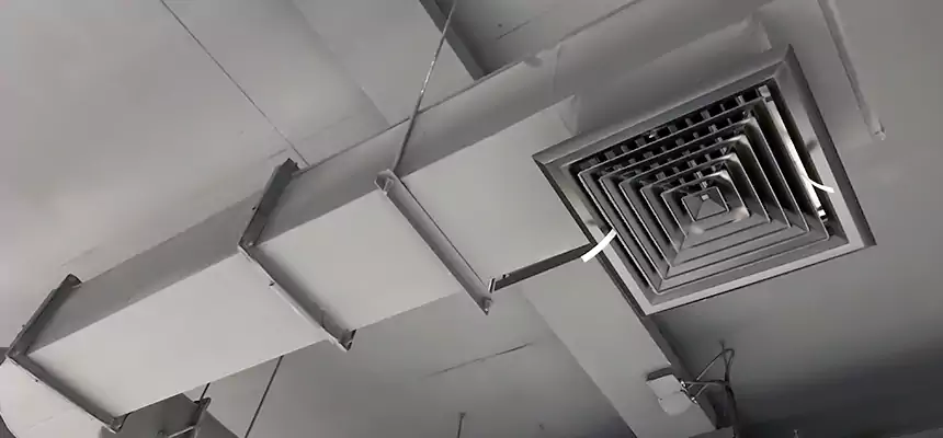 Our Pest Removal From Ducts Services in Chester, VA