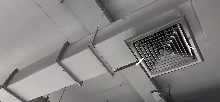 Our Rodent Droppings In Vents Services in Chester, VA