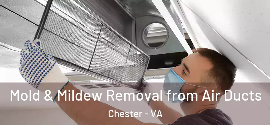  Mold & Mildew Removal from Air Ducts Chester - VA