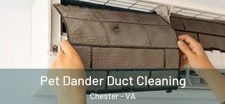 Pet Dander Duct Cleaning Chester - VA