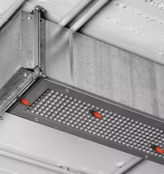 Affordable Insect Removal from Air Ducts in Chester, VA