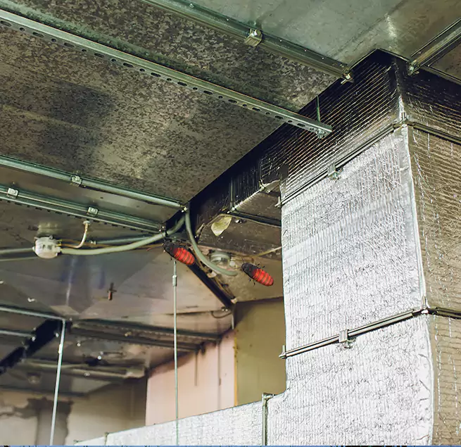 Why Homeowners & Businesses Trust Us in Chester, VA?