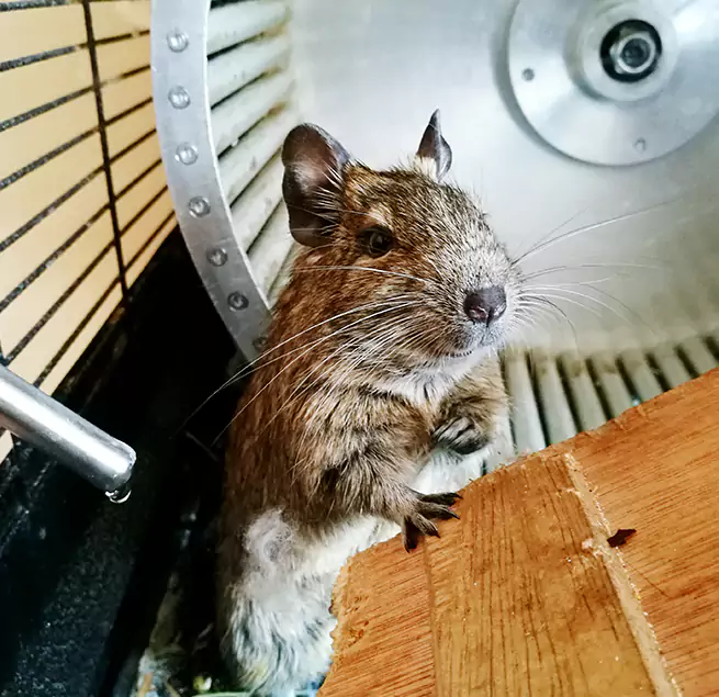 Why Homeowners & Businesses Trust Us Chester, VA