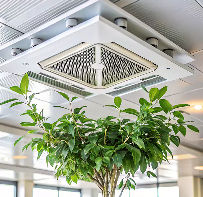 Why Homeowners & Businesses Trust Us in Chester, VA?